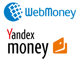 Payment methods - Electronic money