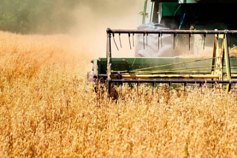 Day of the worker of agriculture and processing industry in Russia