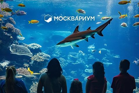 «Москвариум»