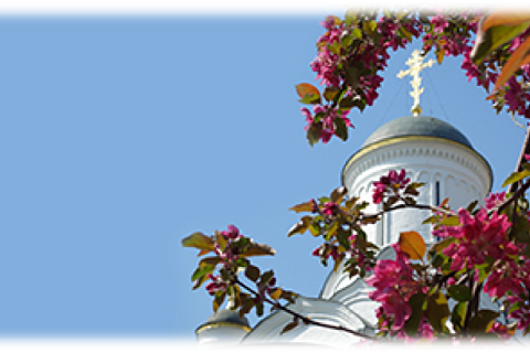 Богородице-Рождественский ставропигиальный женский монастырь