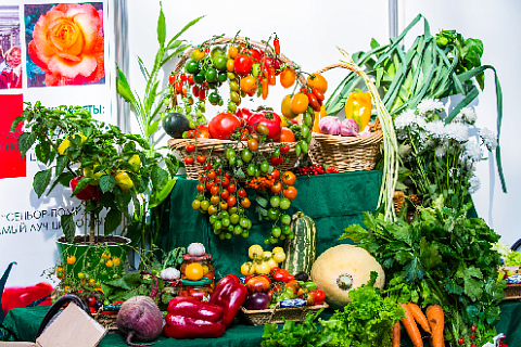 “Dacha. Garden. Landscape. Labor Saving Tools” Exhibition, March 27-31 at VDNKh