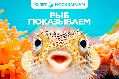 Москвариум - 10 лет