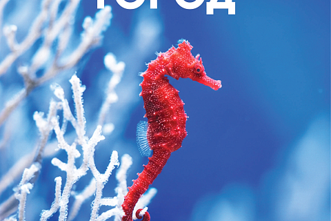 Москвариум