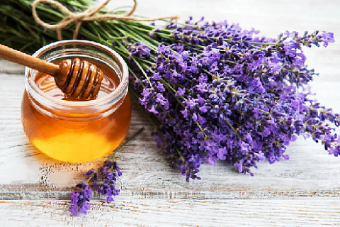 August 14 - Honey Feast Day